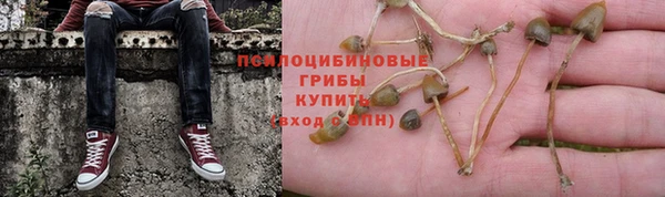 ГАЛЛЮЦИНОГЕННЫЕ ГРИБЫ Аркадак