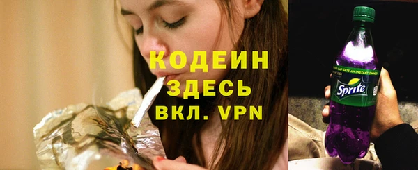 ГАЛЛЮЦИНОГЕННЫЕ ГРИБЫ Аркадак