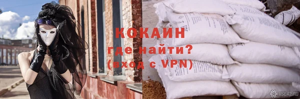 ГАЛЛЮЦИНОГЕННЫЕ ГРИБЫ Аркадак