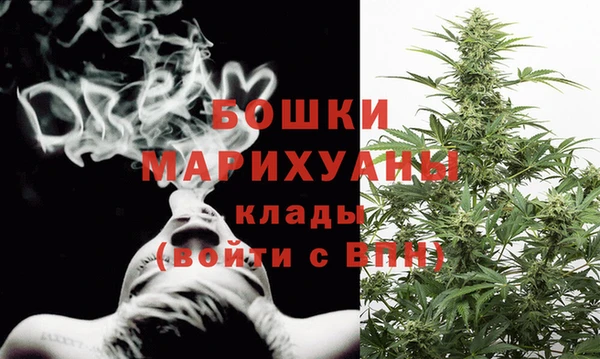 трава Арсеньев