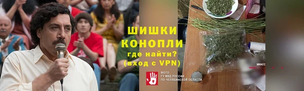 трава Арсеньев