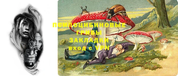 трава Арсеньев