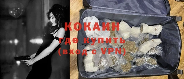 ГАЛЛЮЦИНОГЕННЫЕ ГРИБЫ Аркадак