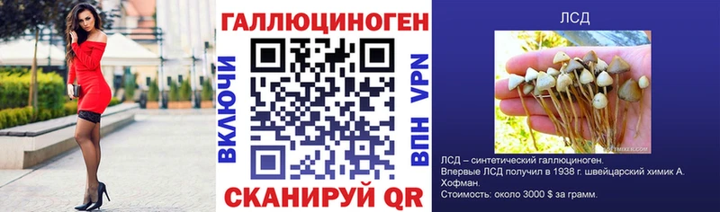 Галлюциногенные грибы Cubensis  Купить  Электроугли 